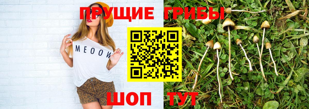 Красноармейск  Галлюциногенные грибы GOLDEN TEACHER  Вход с VPN 