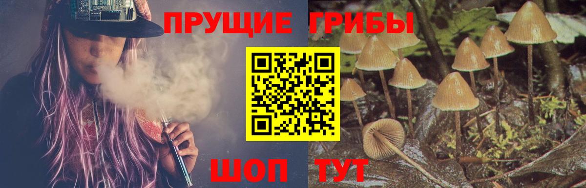 Галлюциногенные грибы ЛСД Красноармейск